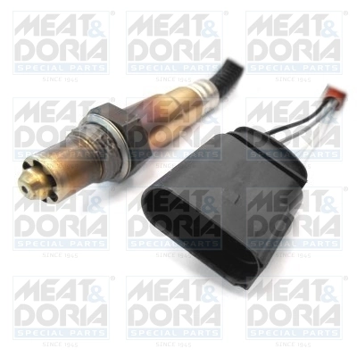 Oxygen Sensor